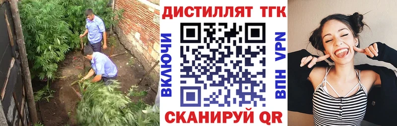 Купить где  Яровое  ТГК концентрат 